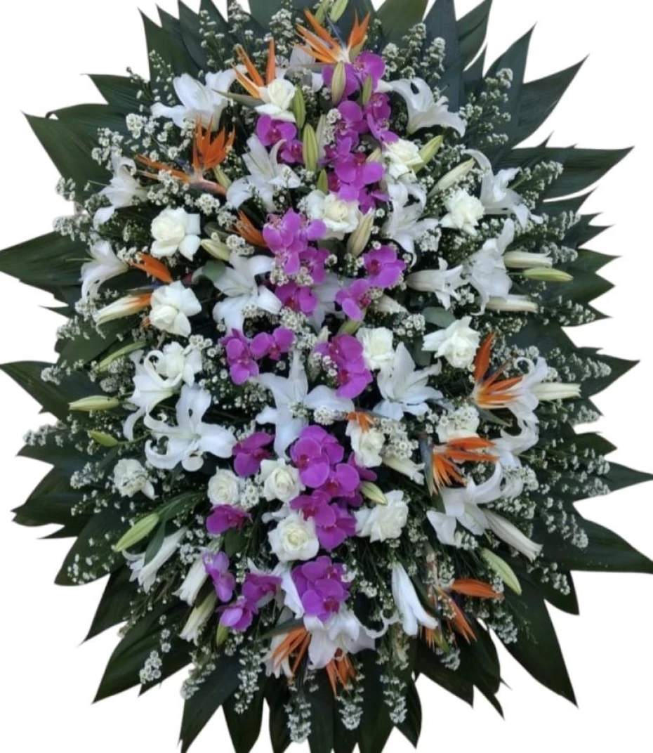 Foto 16:  — Helô Coroa de Flores Taubaté
